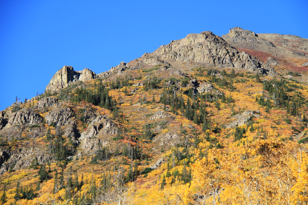 Fall colors along the South Klondike Highway