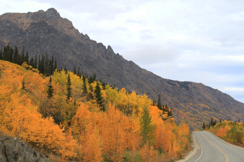  Fall colours along the South Klondike Highway