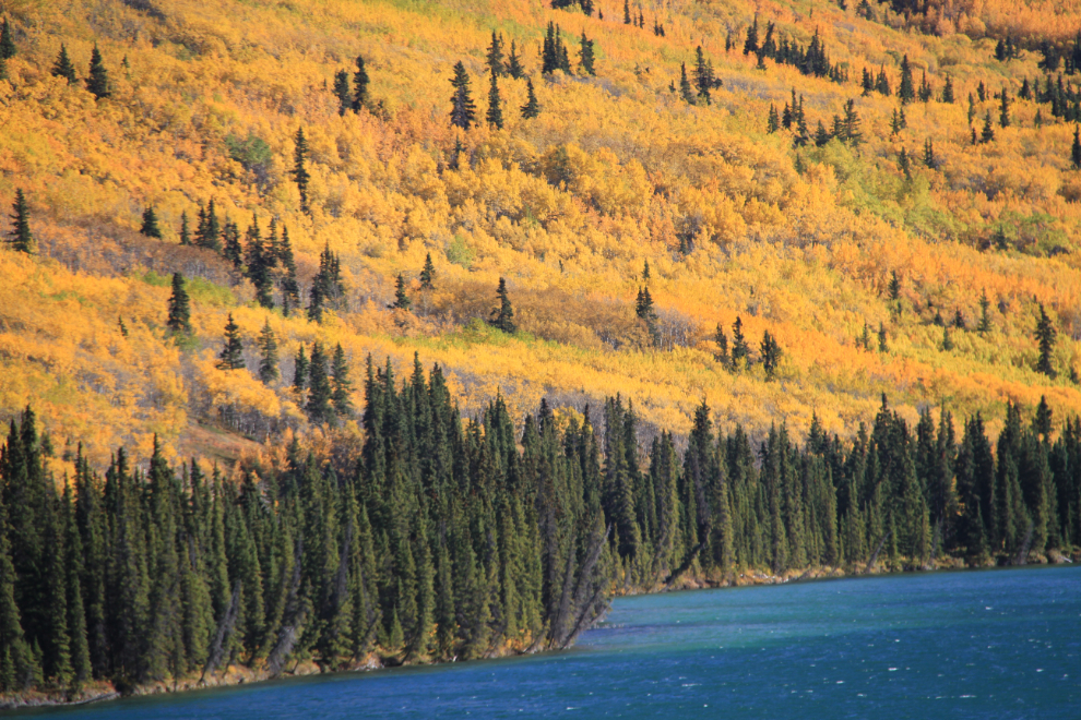Fall colors at Spirit Lake, Yukon