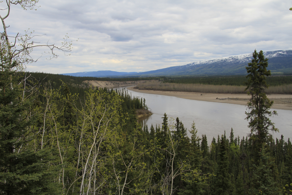 The Stewart River, Yukon