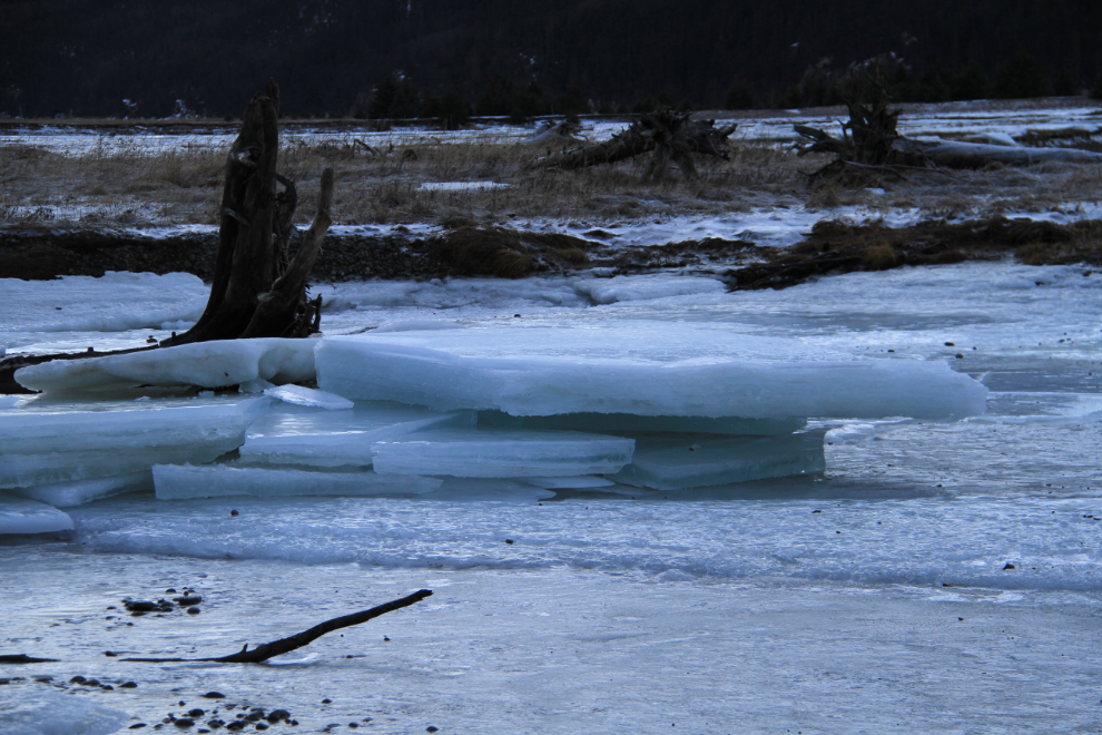 Blocks of ice on the Taiya River, Alaska