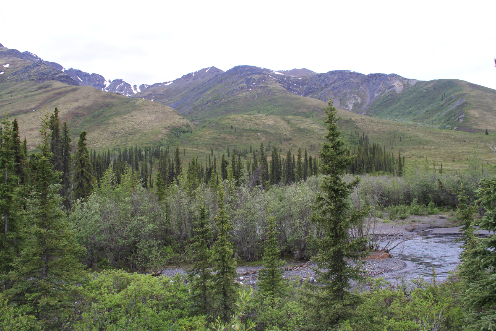 North Klondike River along the Beaver Pond Interpretive Trail, Tombstone Park, Yukon