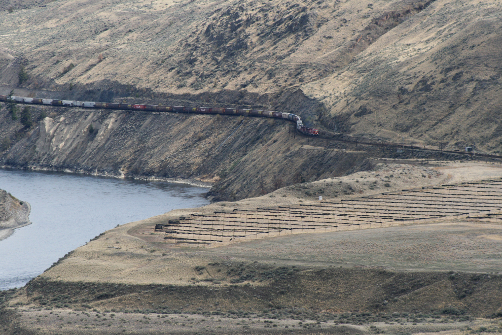 Canadian Pacific Railway train nears a field of ginseng along the Thompson River near Walachin, BC