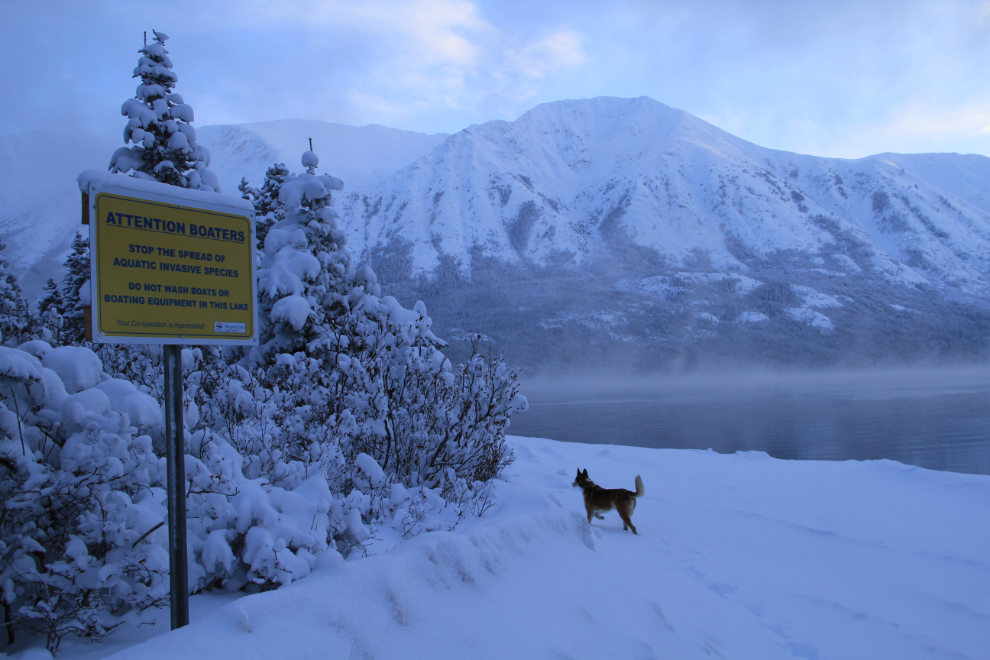 Tutshi Lake BC in the winter
