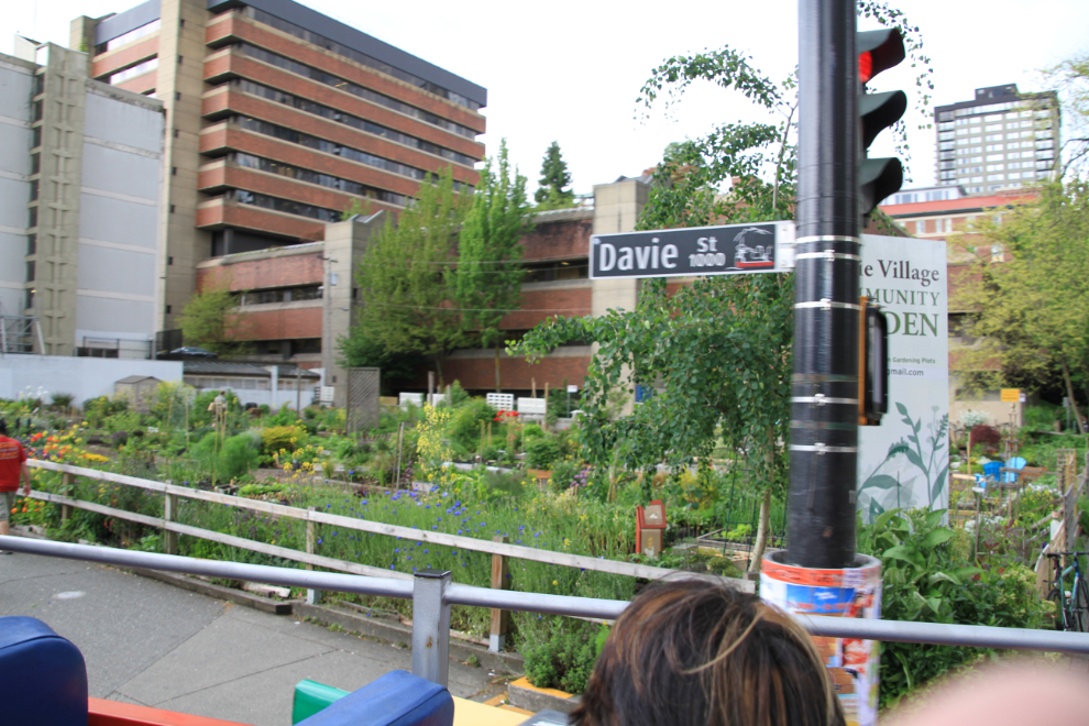 Community garden on Davie Street in Vancouver