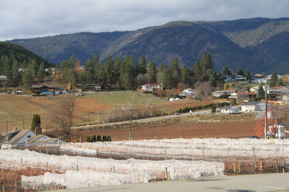 Mt. Boucherie Family Estate Winery - West Kelowna, BC