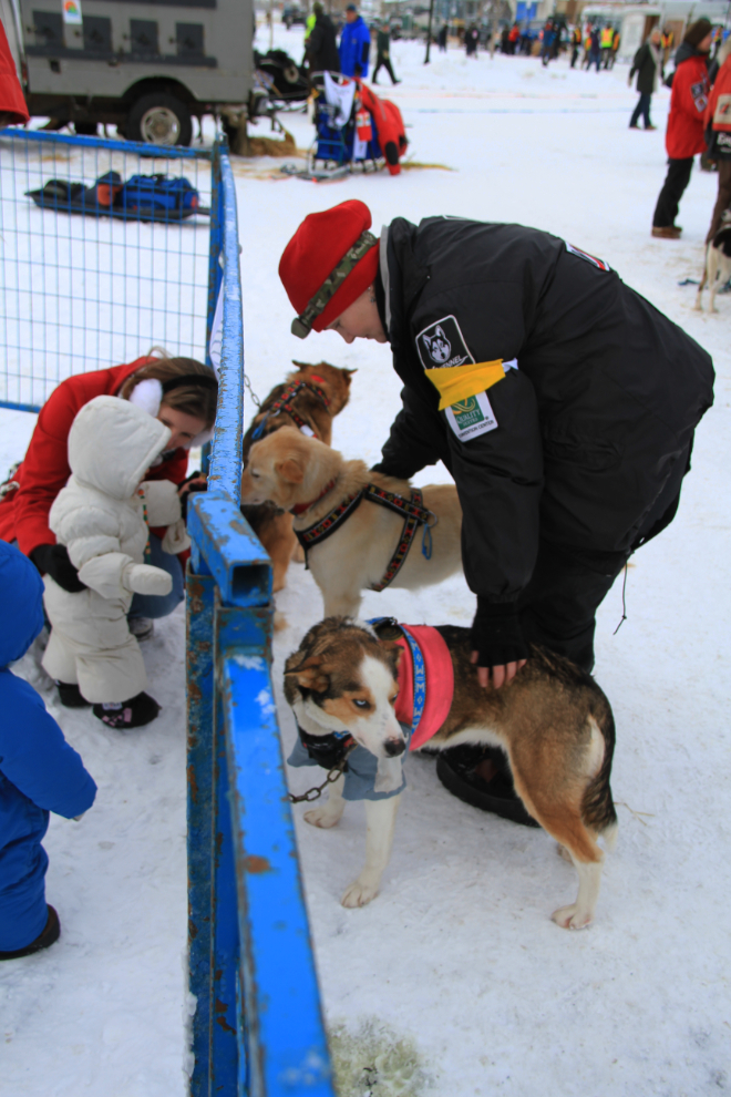 Yukon Quest 2013, Whitehorse, Yukon