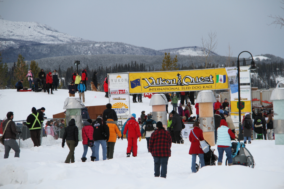 Yukon Quest 2013, Whitehorse, Yukon