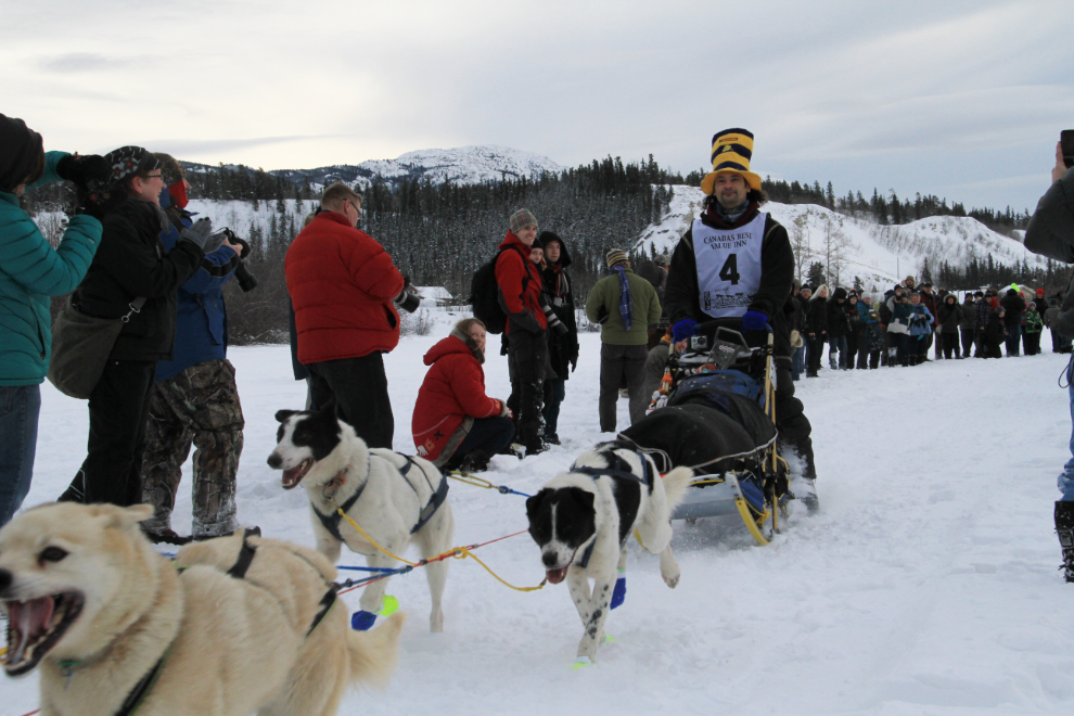 Hugh Neff from Tok, Alaska,  in Yukon Quest 2013, Whitehorse, Yukon