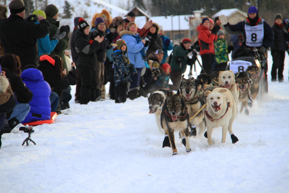 Kelley Griffin, from Wasilla, Alaska, in Yukon Quest 2013, Whitehorse, Yukon