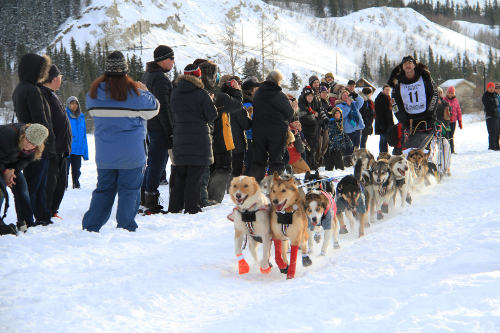 Allen Moore, from Two Rivers, Alaska, in Yukon Quest 2013, Whitehorse, Yukon