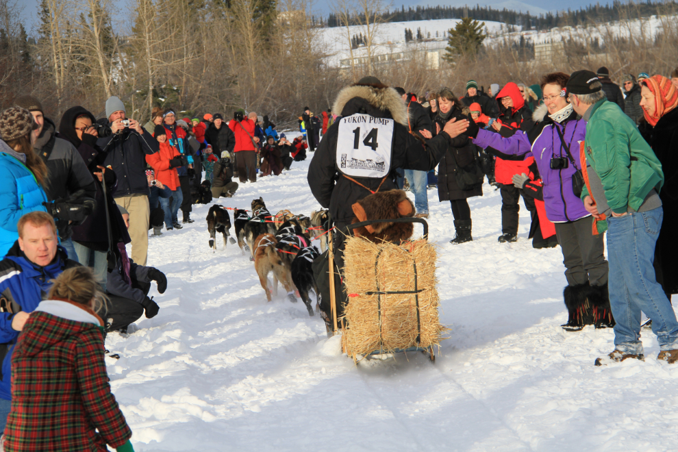 Matthew Failor from Big Lake, Alaska, in Yukon Quest 2013, Whitehorse, Yukon