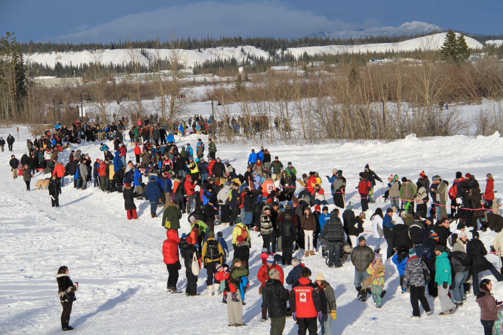 Scott Smith from Willow, Alaska, in Yukon Quest 2013, Whitehorse, Yukon