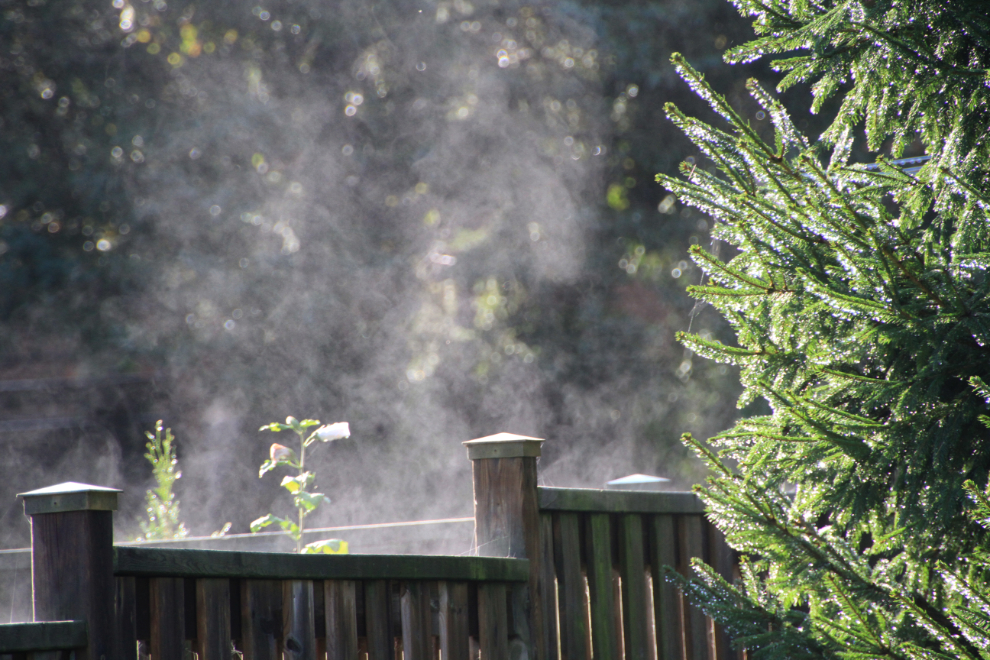 A wet fence steaming in the morning sun