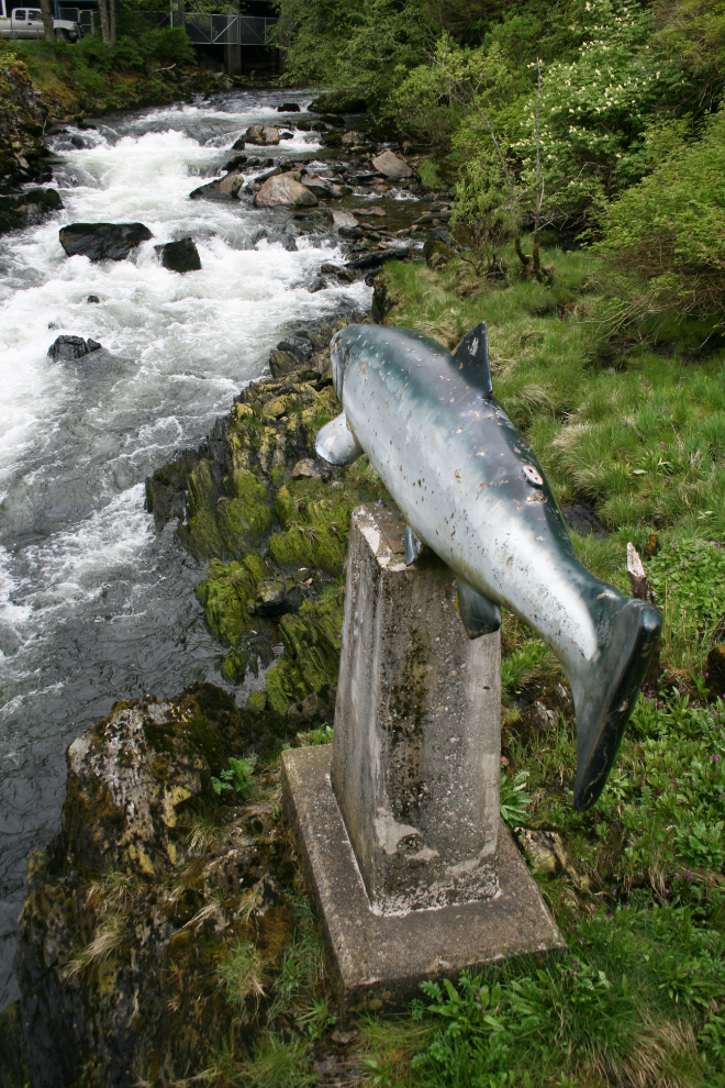 Ketchikan Creek, Alaska