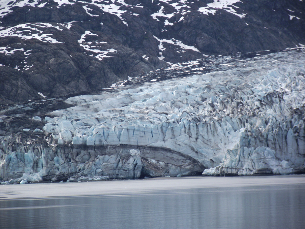 Lamplugh Glacier, Glacier Bay