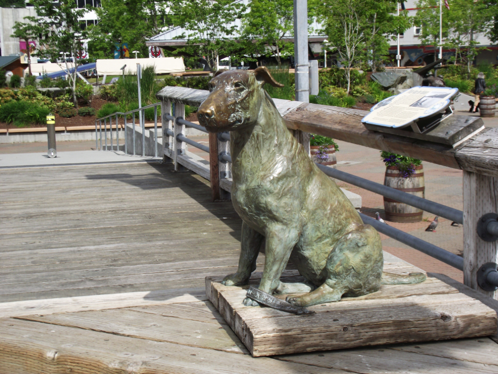 A statue of Patsy Ann, Juneau's welcoming dog at Juneau