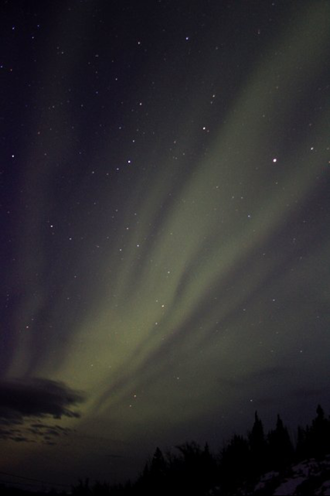 Aurora borealis on the Yukon River