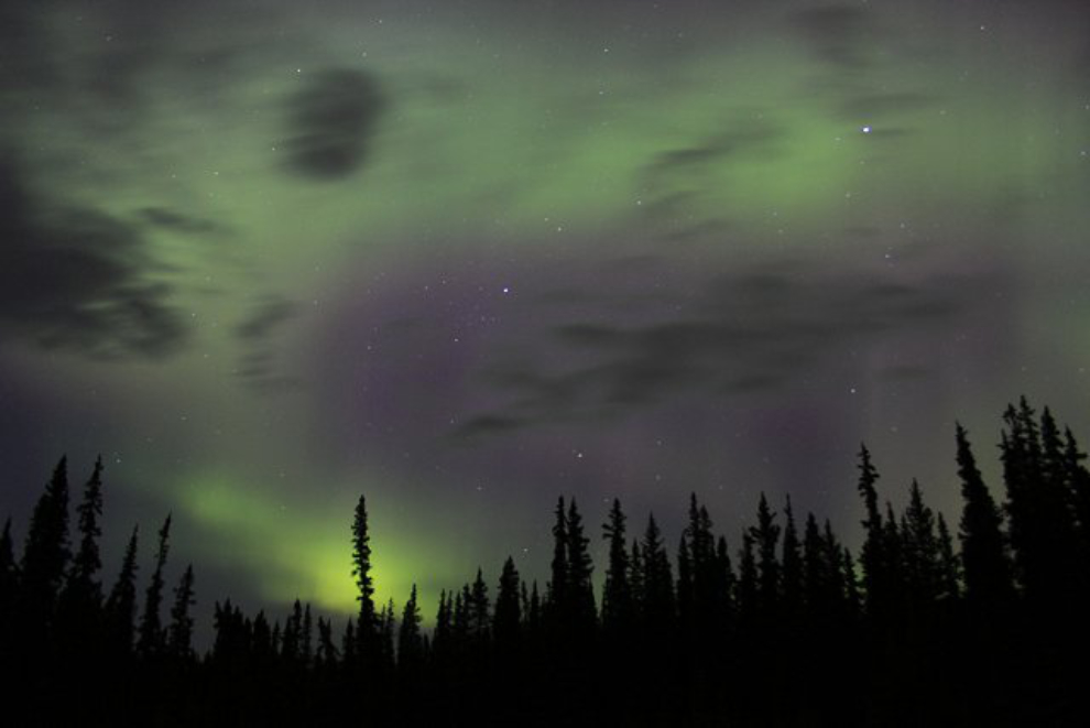 Northern Lights along the Alaska Highway
