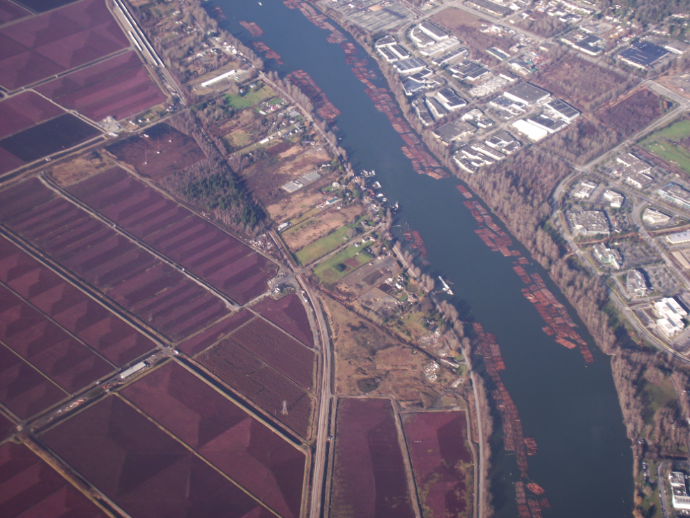 Aerial view of cranberry fields in Richmond, BC