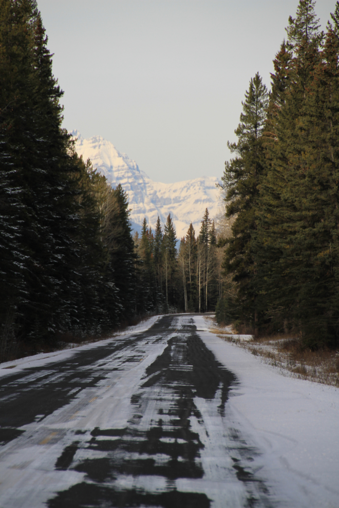 The icy Bow Valley Parkway