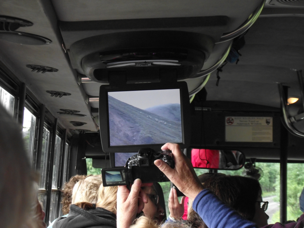 The video camera system on our Tundra Wilderness Tour bus