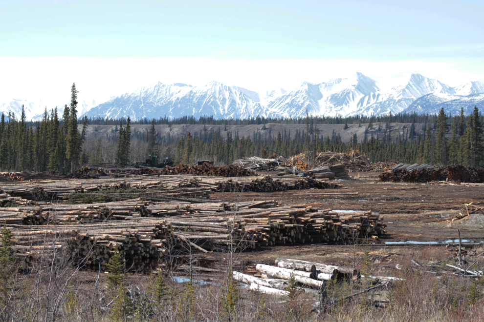 Dimok Timber, Yukon
