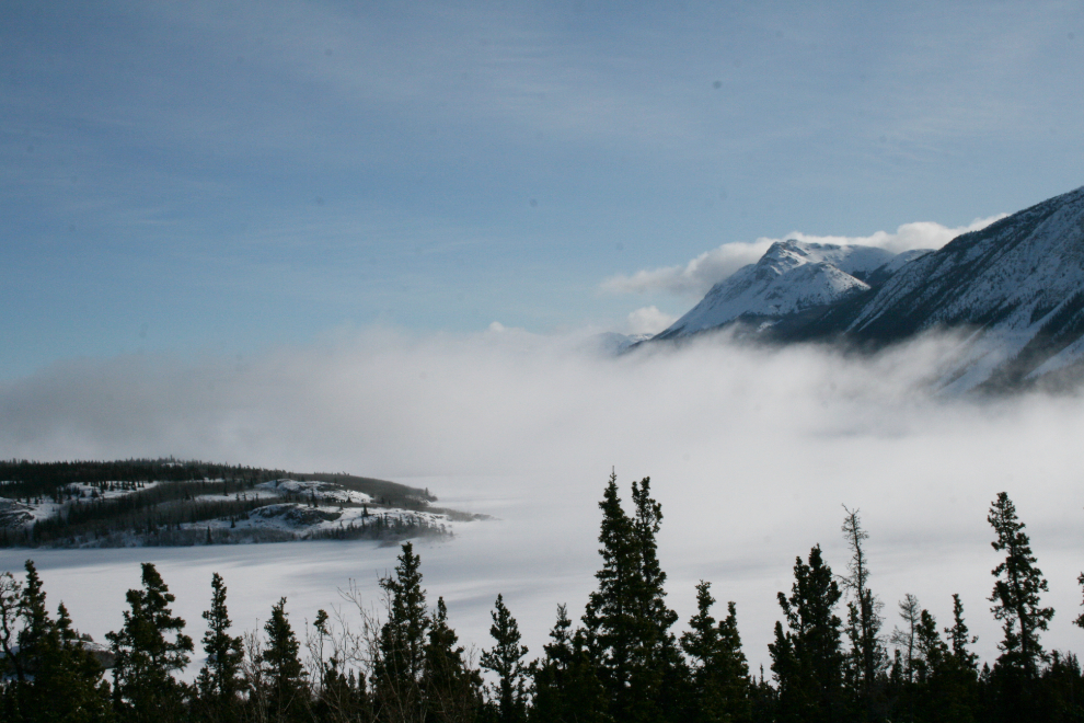 Winter fog at Bove Island, Yukon