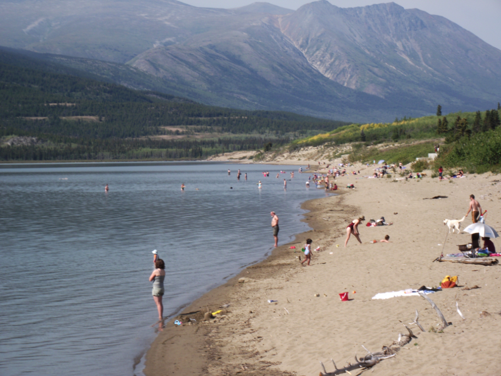 The 'crowded' beach at Carcross