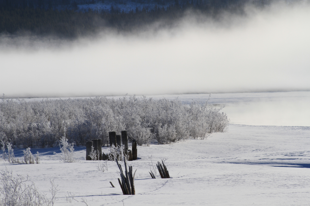 Steam fog on the Nares River, Yukon