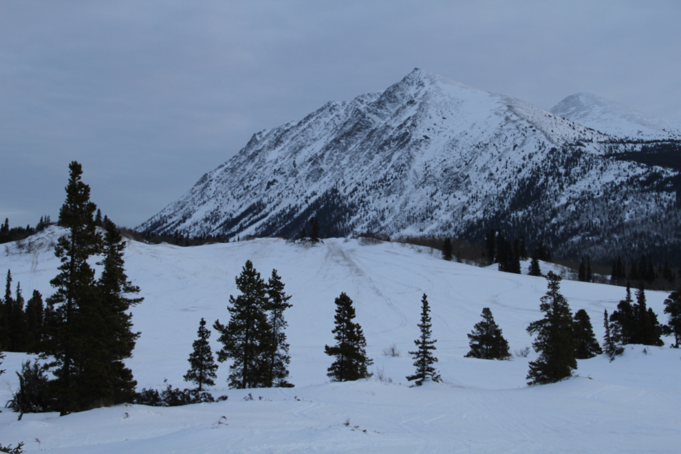 The Carcross Desert in the winter