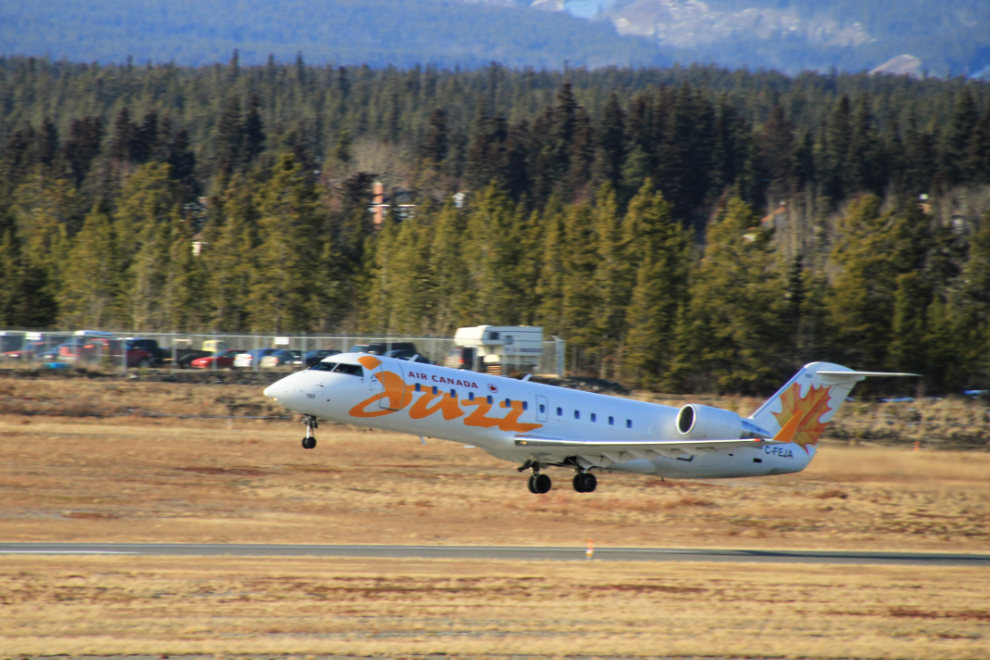 Surprise, surprise, the Whitehorse airport trails offer fairly good airplane watching