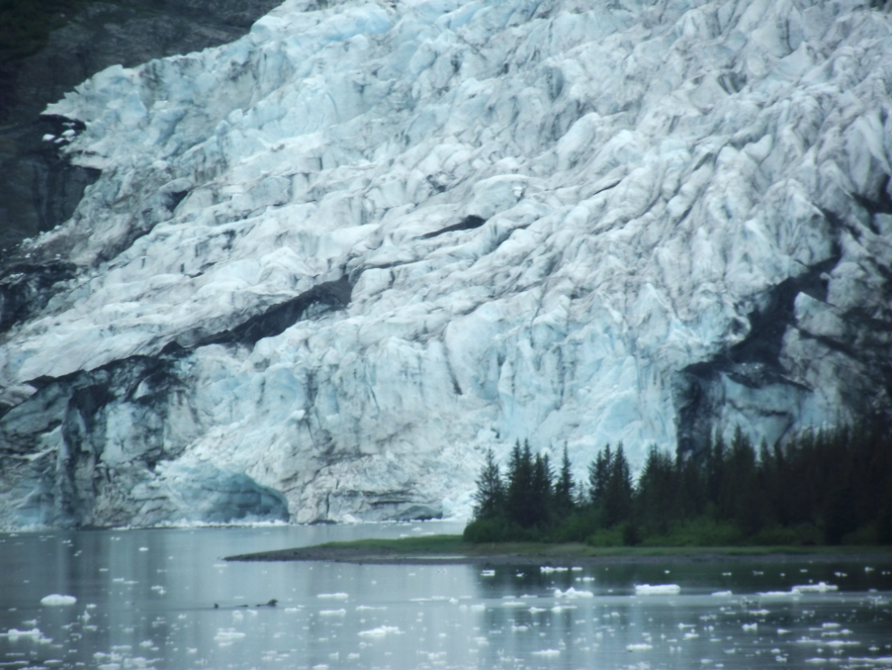 Wellesley Glacier, College Fjord