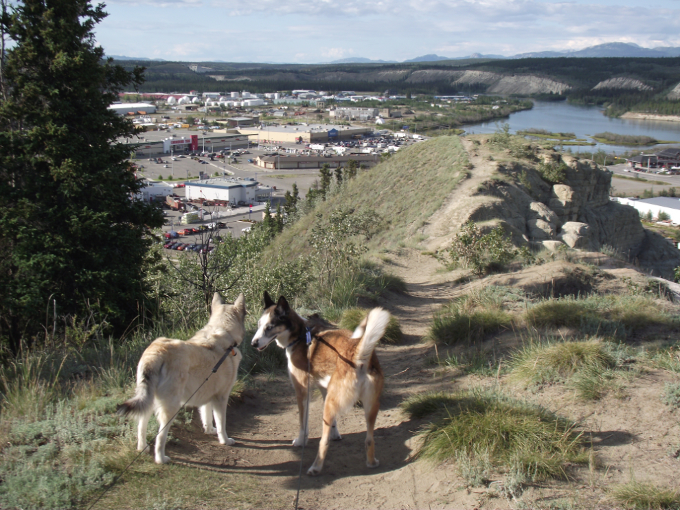The north end of the Whitehorse airport trail along the clay cliffs