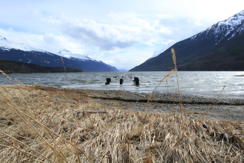 Pilings of old wharves at Dyea, Alaska