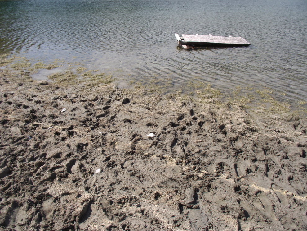 Muddy shore at Ear Lake, Whitehorse