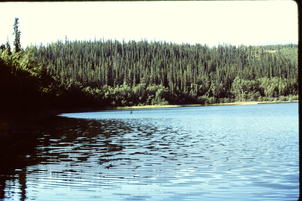 ar Lake, Whitehorse, 1990