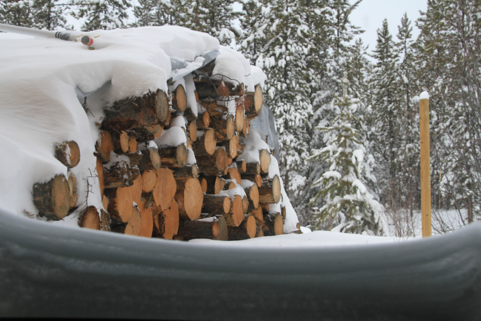 Firewood buried in snow