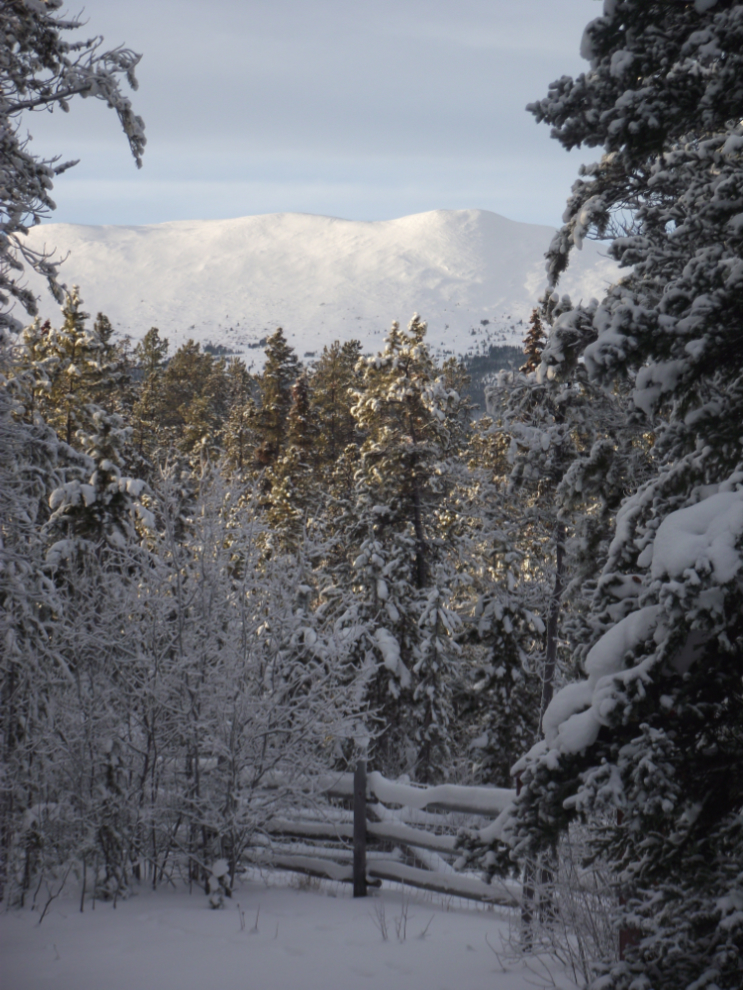 The winter mountain view from my home office near Whitehorse, Yukon