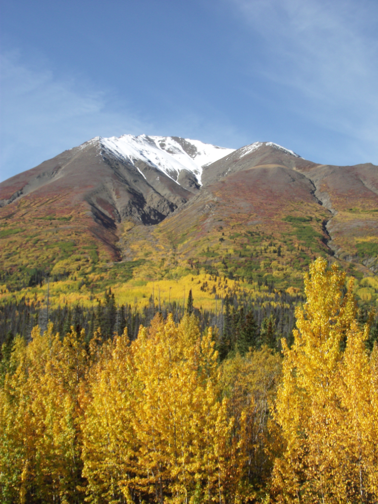 Fall colours along the Haines Highway, Yukon