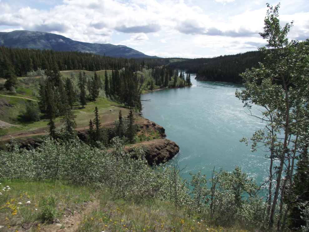 Yukon River upstream from Miles Canyon