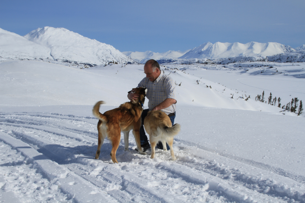 Murray Lundberg with his huskies Monty and Kayla in the White Pass in March