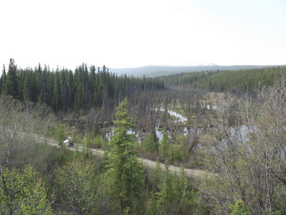 McIntyre Marsh, Whitehorse, Yukon