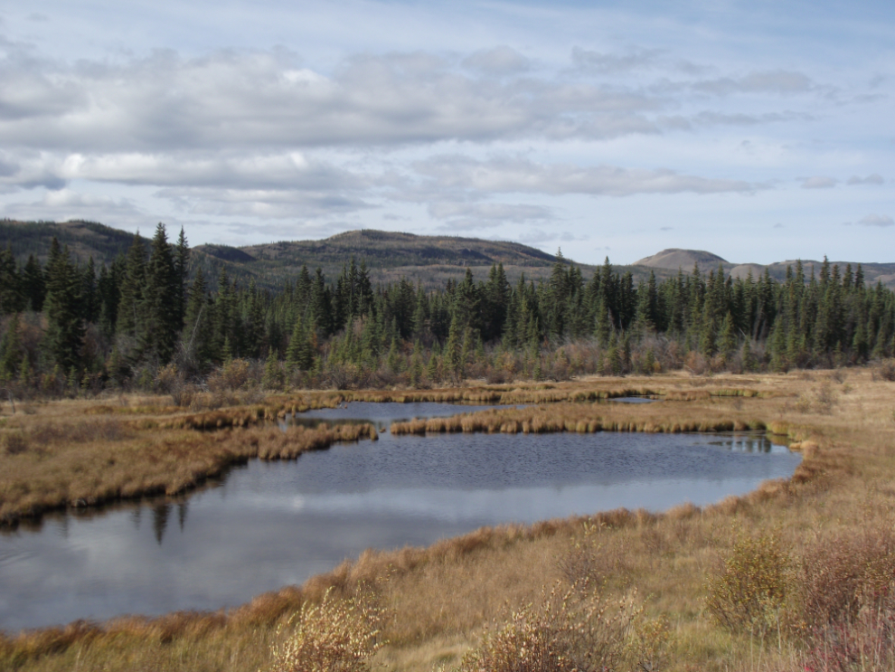 A pond along the North Klondike Highway, Yukon