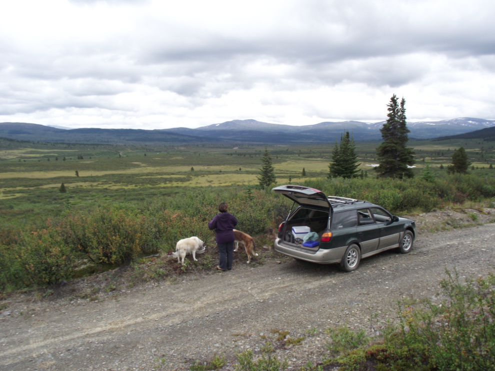 Feeding our dogs during a wander through the Atlin back country