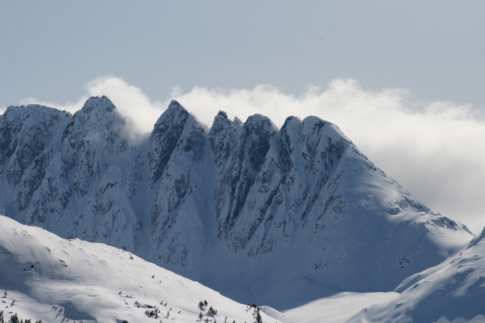 The jagged peaks of the Sawtooth Range just north of Skagway