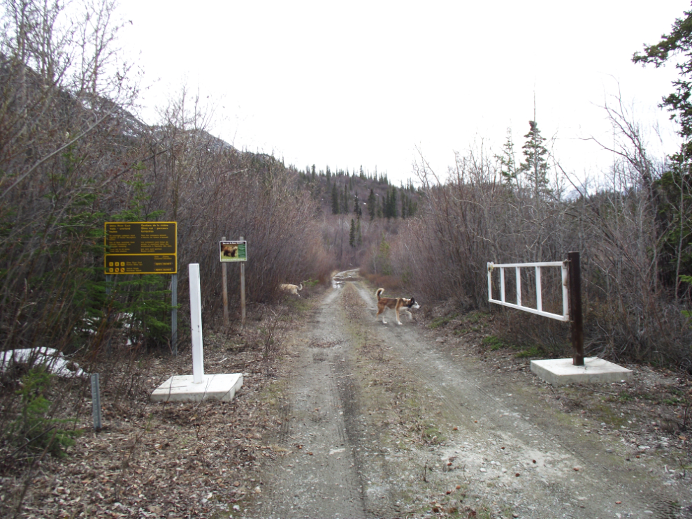 This old section of the Alaska Highway is now the Slims River East trail