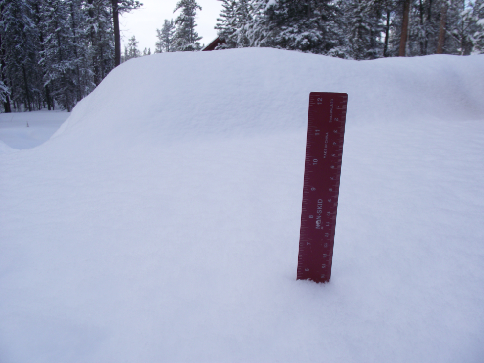 5 1/2 inches of new snow