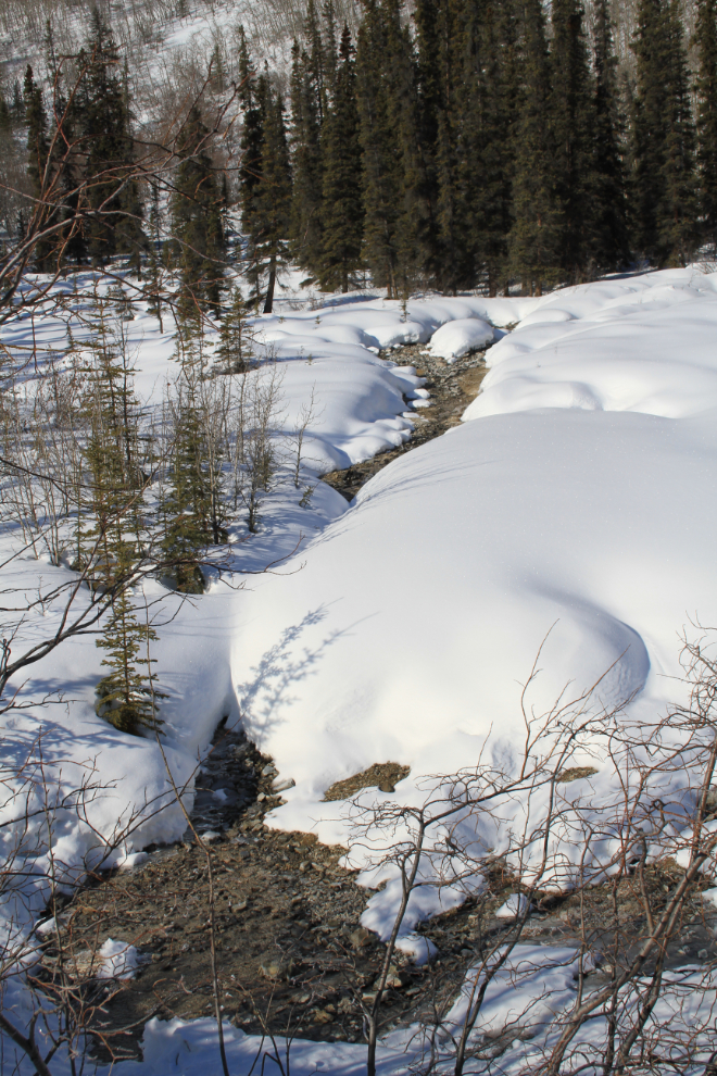 Mineral spring along the South Klondike Highway