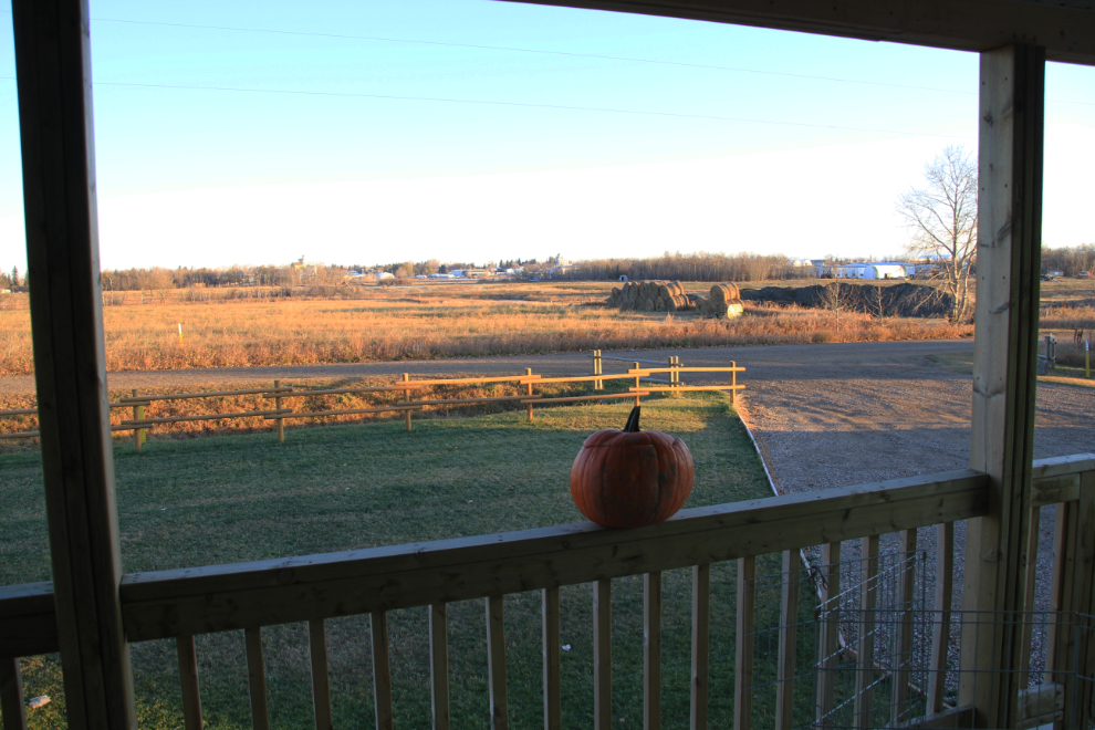 Alberta ranching country